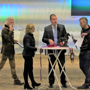 Finale Tuigen Horse2fly competitie HK 2022