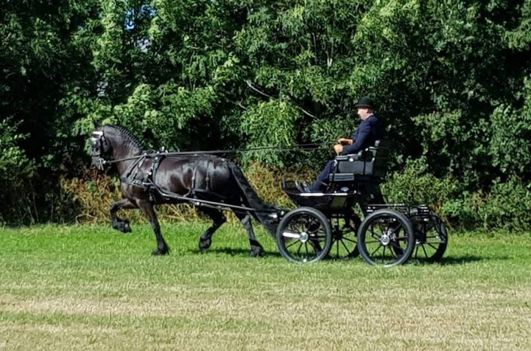 Finale Horses2fly KFPS mencompetitie